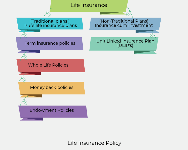  life insurance online